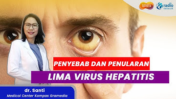 MENGENAL 5 VIRUS PENYEBAB HEPATITIS, HEPATITIS A, B, C, D, E | HEALTH CORNER