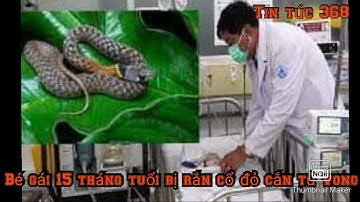 Xót thương bé gái 15 tháng tuổi bị rắn cắn tử vong-Tin tức 368