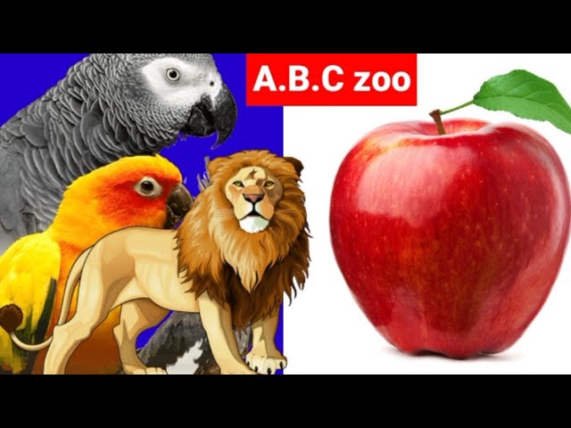 Apple - no name zoo Zoo Animals – No Name
