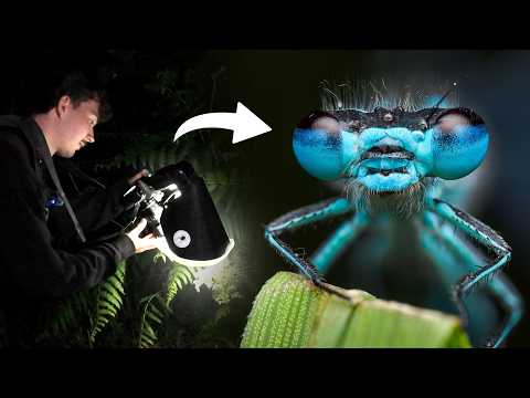 Looking for Macro Photography Subjects After Dark
