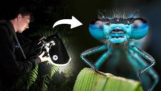 Looking for Macro Photography Subjects After Dark