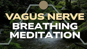 Vagus Nerve Breathing Meditation | 4-4-6-2 Rhythm to Calm Your Nervous System