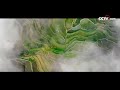 [아름다운 중국] 하니계단식밭 | CCTV 한국어방송