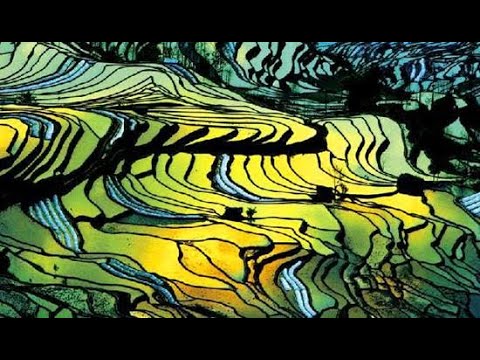 [아름다운 중국] 하니계단식밭 | CCTV 한국어방송