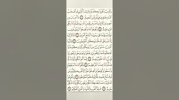 سورة التغابن بصوت الشيخ محمد اللحيدان