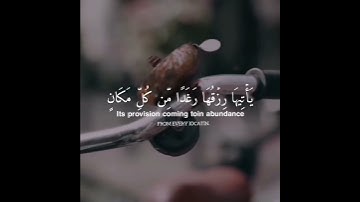 استغفر الله🌸.                           القارئ/ عبد الرحمن مسعد