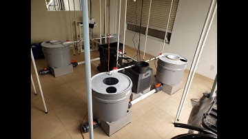 Modular RDWC For Perpetual Grow:  Waterfall RDWC System For Huge Plants