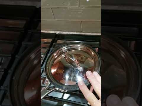 LID STUCK INSIDE