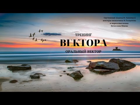 Занятие 10. Оральный вектор. Тренинг  Вектора. Проект Вячеслава Юнева