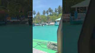 Do you like beatiful places? Check our blog: www.spolukmoru.com #blog #travel #tree