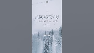 تلاوة خاشعة من القرآن الكريم #سورة_الأحزاب الآية 56 شيخ #جاسم_المال #قرآن_كريم #تلاوة_خاشعة #شورت