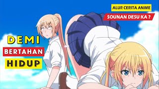 Terdampar Di Pulau Tak Berpenghuni - Alur Cerita Anime Sounan Desu Ka