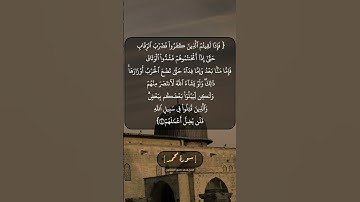 سورة محمد الآية ٤ الى ٦ بصوت الشيخ محمد صديق المنشاوي