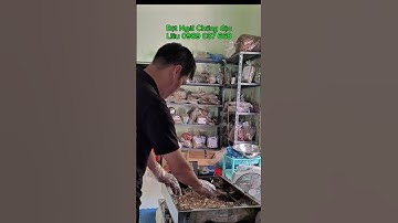 Nghiền Củ Ngải Chống Độc, #BộtNgảiChốngĐộc, #NgảiChốngĐộc, #NghệTrắng, #Shorts, #đặcsảncaobằng #food