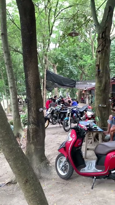 Ngopi sambil menikmati pemandangan yang sejuk. Lokasi: Sumbergundi, Pagu, Kediri. #ngopi #kediri