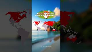 🦊 Red Fox Distribution | Where Do Red Foxes Live? 🌍 🦊 Red Fox Distribution | Where Do Red Foxes Live? 🌍