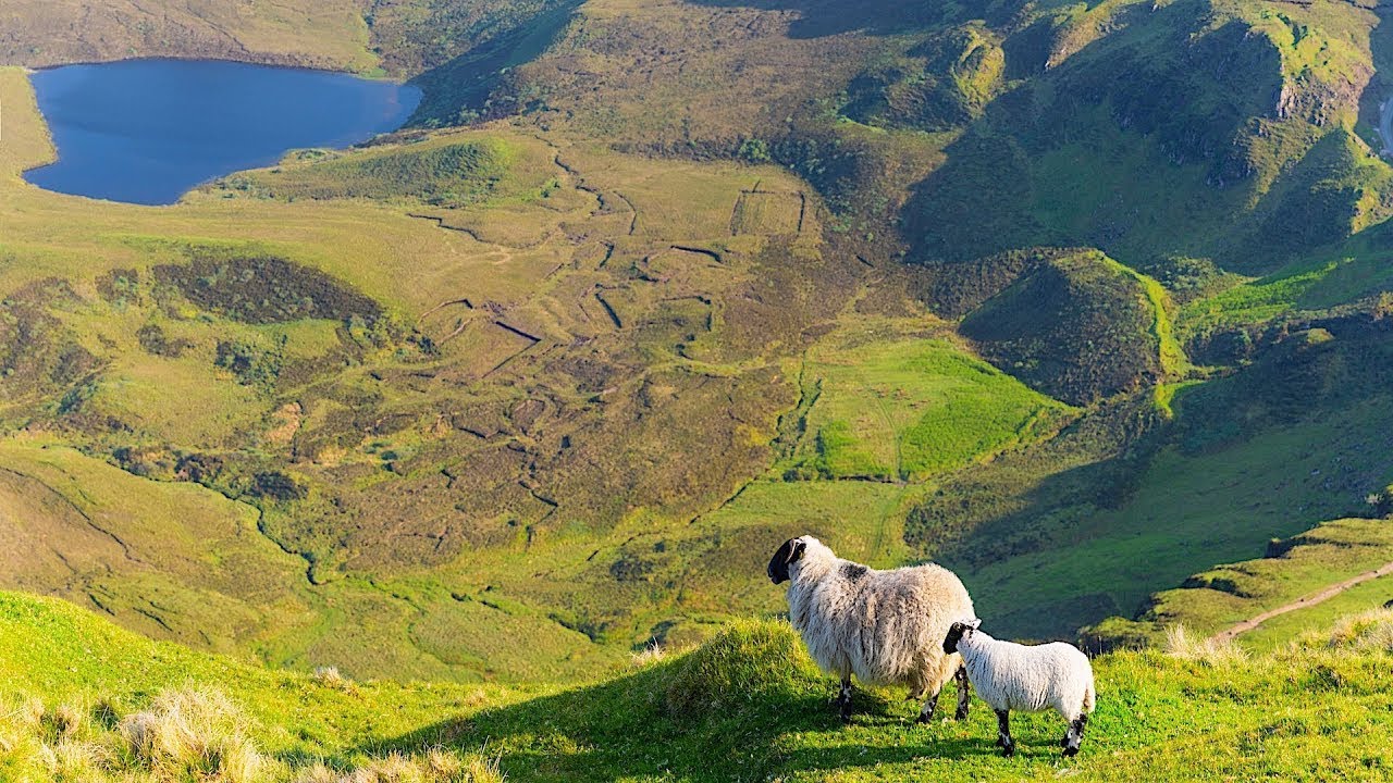 Be Thou My Vision (Instrumental) - Celtic Traditional Beautiful Hymn - Arranged by Tim Janis