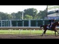 American Pharoah - Training For the Haskell (7-30-15)