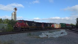 Railfanning Chicagoland 10/14/25
Back in the ol swing of things.
I had a day off today so I decided to try and do a bit of railfanning around some familiar territory to see what I could find. While nothing too exciting showed up, I did manage to get some pretty neat trains as well as a race and a meet so today wasnt all that bad. Enjoy!
Now here are the trains in order.
Dolton, IL.
Train 1: WB Mixed Freight
Power:
IHB GP40-3 #4011 *ex-SP 7623*
IHB GP40-3 #4013 *ex-SP 7620*
Train 2: WB Mixed Freight
Power:
CSX ES44AH #3106
Trains 3 and 4: WB Intermodal meets EB Autorack Train
Train 3s Power:
CSX ES44AH #719
CSX ES44AH #3011
Train 4s Power:
BNSF ES44AC #5896
BNSF SD70ACe #9349
Chicago Heights, IL.
Train 5: EB Mixed Freight
Power:
IC SD70 #1031 *CN Paint*
IC SD70 #1027
Train 6: WB Intermodal
Power:
CN ES44DC #2286
CN SD70M-2 #8836
Matteson, IL.
Trains 7 and 8: WB Intermodal races WB Mixed Freight
Train 7s Power:
IC C44-9W #2722 *CN Paint*
CN SD75I #5634
Train 8s Power:
BNSF C44-9W #4138
BNSF ES44DC #7420
GTW GP38-2 #4919 *ex-MP 910, CN Paint*
GTW SD40-2 #5934 *ex-MP 3180, CN Paint*
Taken on 10-14-25 Railfanning Chicagoland 10/14/25
