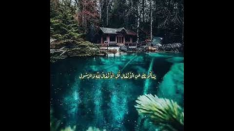 تلاوه طيبه من سورة الأنفال للشيخ عمرو بن عبد العزيز حفظه الله