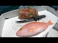 Fresh Ceviche - Catch, Clean, Cook