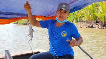 Câu cá Úc sông _ trúng ổ giựt liên tục