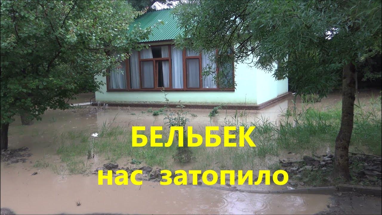 я покинул родной дом есенин. перевал аккорды для гитары. просто нечего нам больше терять песня. визбор перевал текст. потоп в квартире приколы.