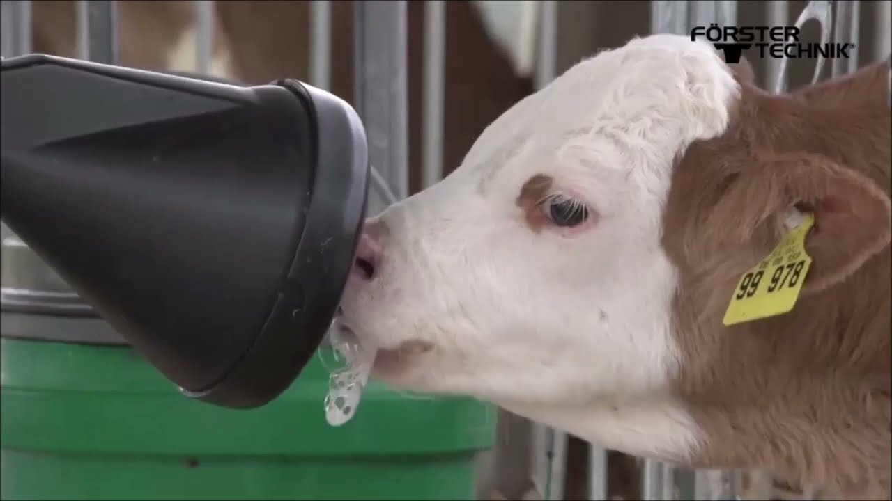 Sistem cu șine CR100 - Alimentarea individuală automatizată