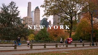 New York vlog : Fall in love with NYC in a day