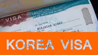 How to check visa for Korea 2022 l Korea visa portal screenshot 2