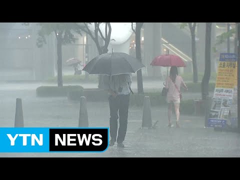 [날씨] 주말부터 전국 장마권...게릴라성 호우 또 온다 / YTN