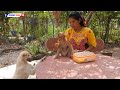 Puppy Koki Stand Looking Monkey Luna Eat Sweet Jackfruit