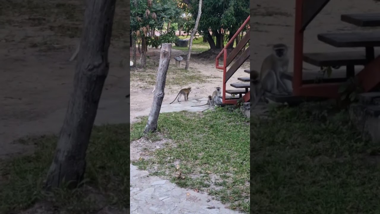 Все заняты делом 