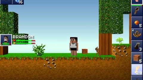 Lets Play Blockheads #1 - A Donkey!