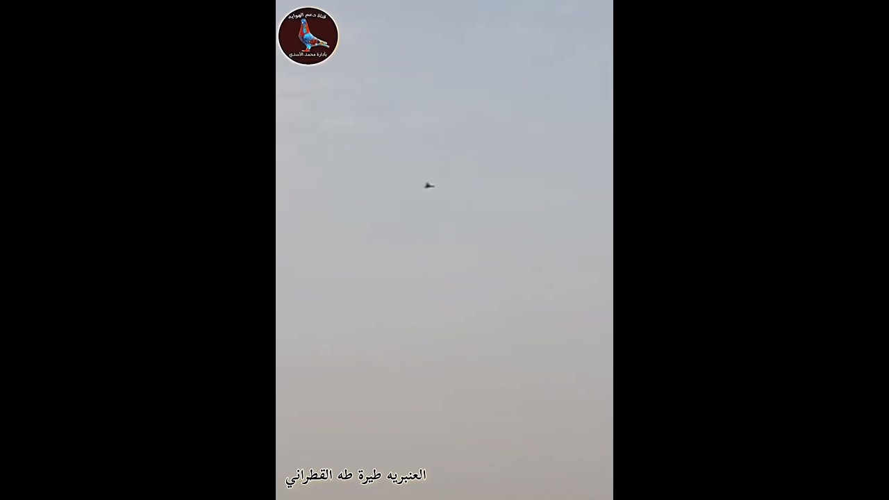 العنبريه طيرة طه القطراني بر السريع