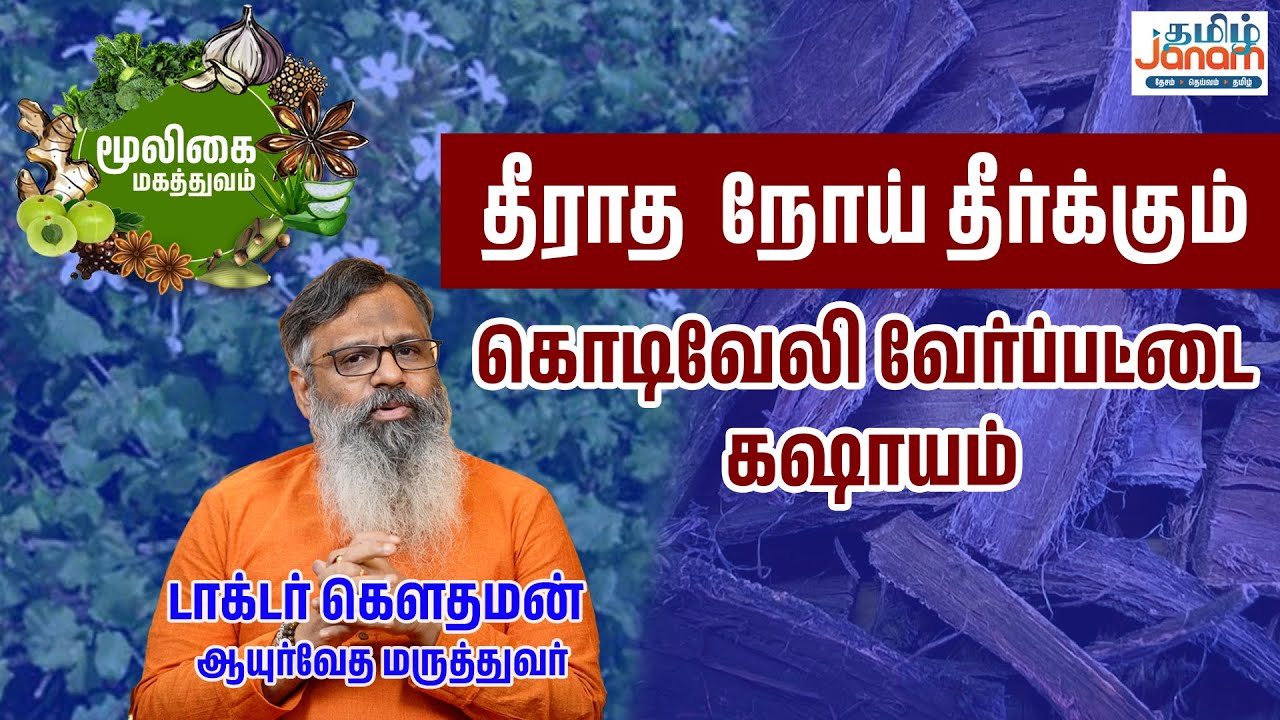 தீராத நோய் தீர்க்கும் கொடிவேலி வேர்ப்பட்டை கஷாயம் | டாக்டர் கௌதமன் | மூலிகை மகத்துவம் |
