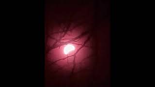 VIHOP 43  Eclipse Theme