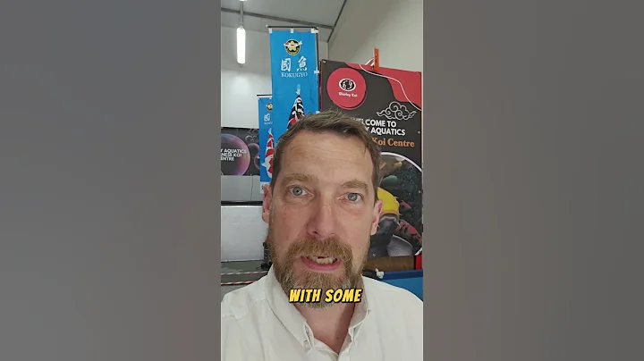 We are exhibiting at The BKKS national koi show 2025