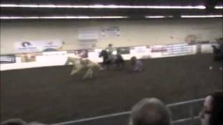 CRA Finals 2010 SW