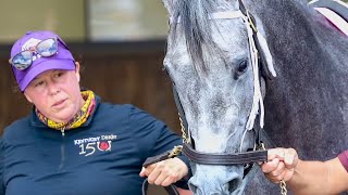 From baling twine to the Oaks, trainer Kelsey Danner finds her way home with Lovely Grey