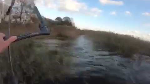 Guy Gets Kite Stuck On Tree While Kite Surfing - 1151261