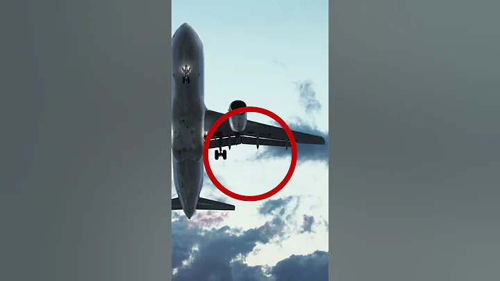 What do Flaps do? #plane #aviation #explained