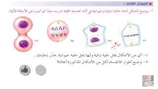 مناقشة أسئلة الفصل الأول ( الانقسام الخلوي ) أحياء ثاني عشر الفصل الدراسي الأول