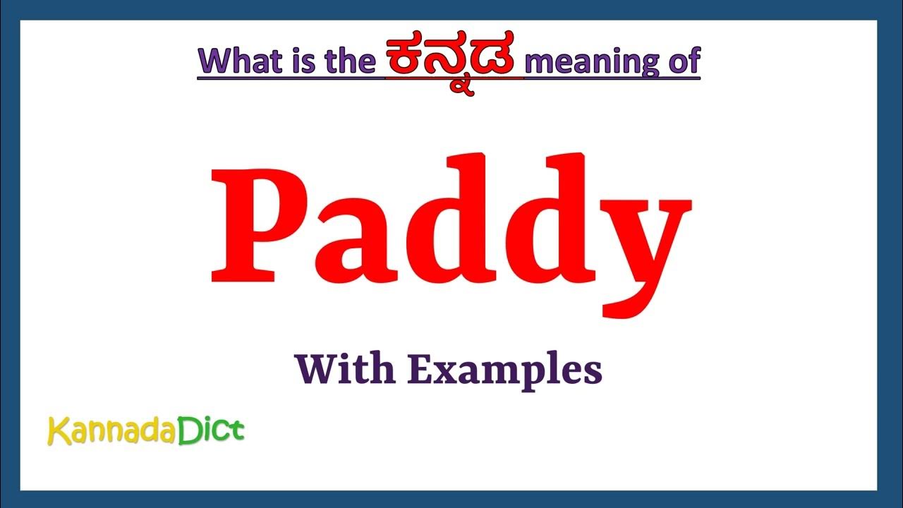 paddy-meaning-in-kannada-paddy-in-kannada-paddy-in-kannada
