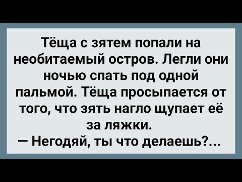 Теща С Зятем Попали На Необитаемый Остров! Сборник Свежих Анекдотов! Юмор!