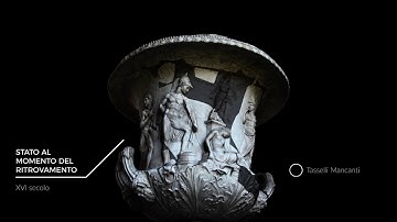 Video 3D Vaso Medici