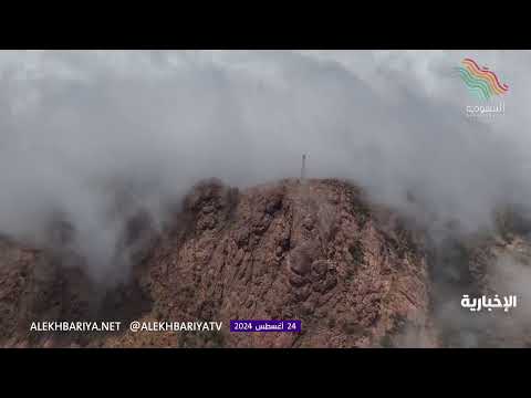 جبل لبنان في الطائف يكسوه بياض الضباب الكثيف