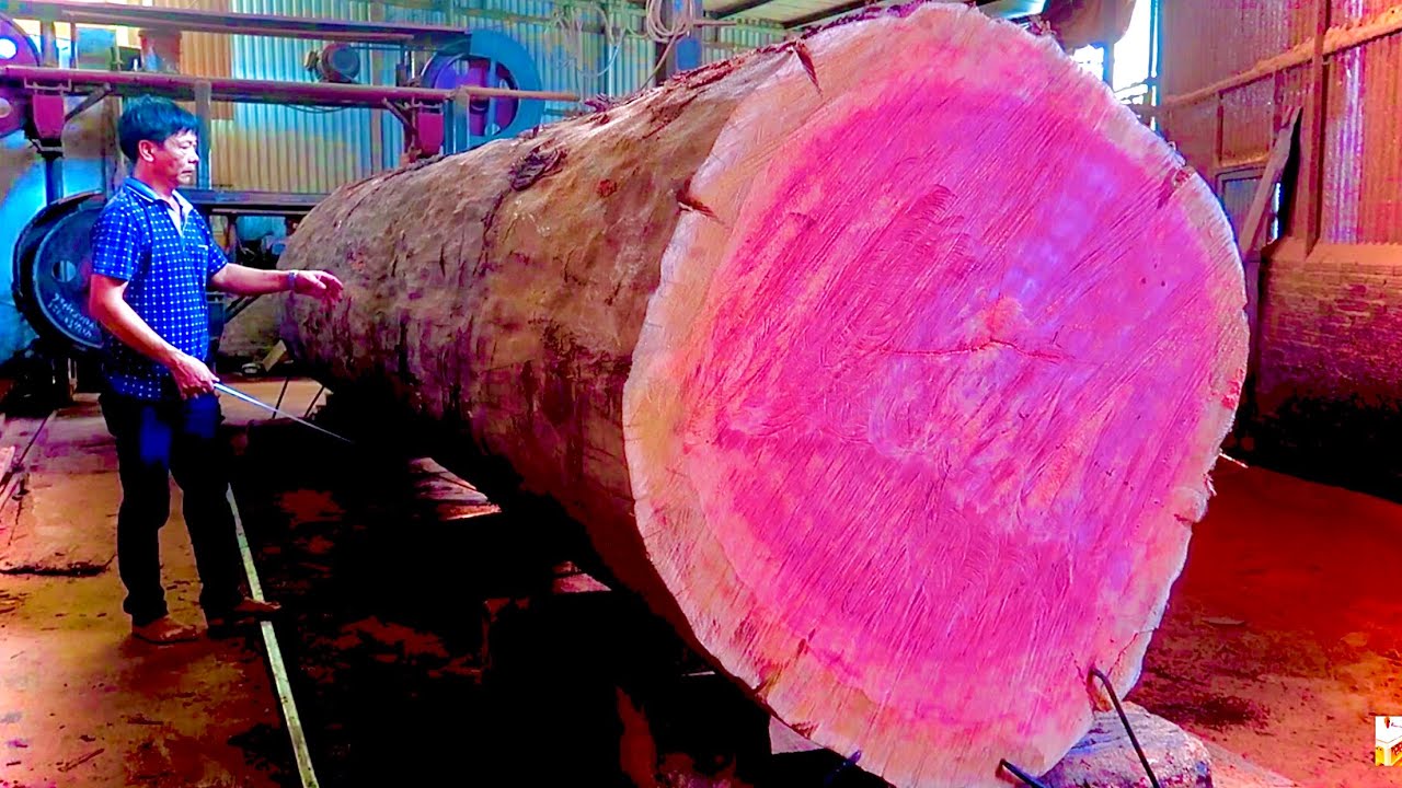 The skill of sawing a giant tree 7m long with a giant circular saw and ...