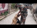 Dog Cry when meet owner after long time I dog Unconditional Love Ifor soldier I Most Loyal dog