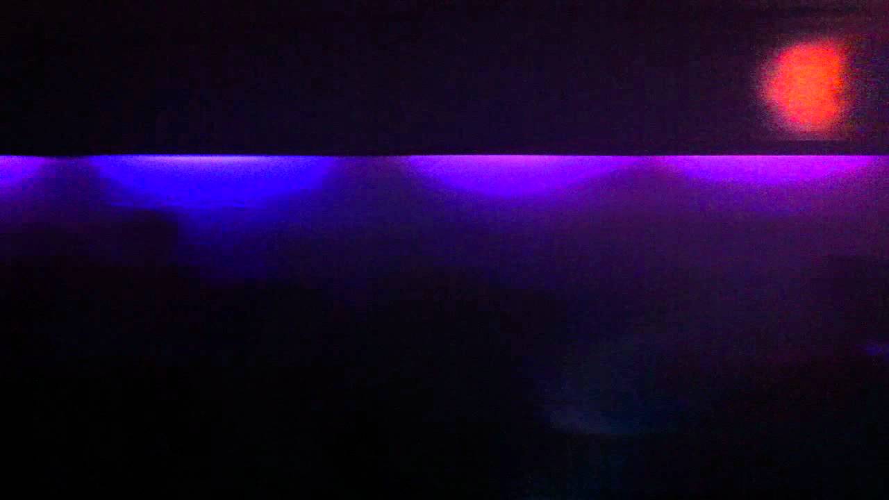 Sommersafari 2011 - Gloria Game Boyz